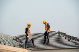 Roof Moss and Algae Removal in San Leon, TX